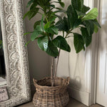 Artificial Elaeocarpus Tree RTfact Flowers 