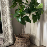 Artificial Elaeocarpus Tree RTfact Flowers 