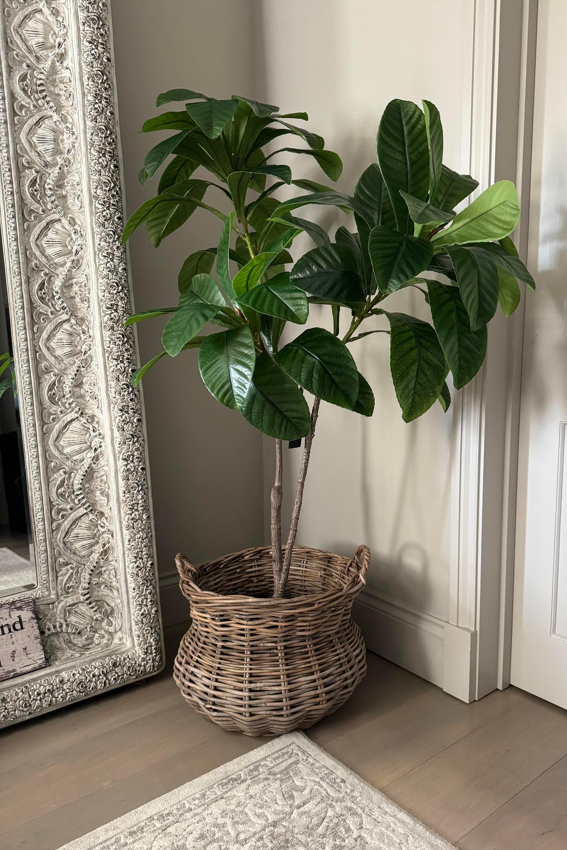Artificial Elaeocarpus Tree RTfact Flowers 