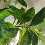 Artificial Elaeocarpus Tree RTfact Flowers 