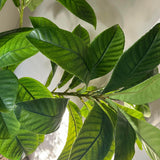 Artificial Elaeocarpus Tree RTfact Flowers 