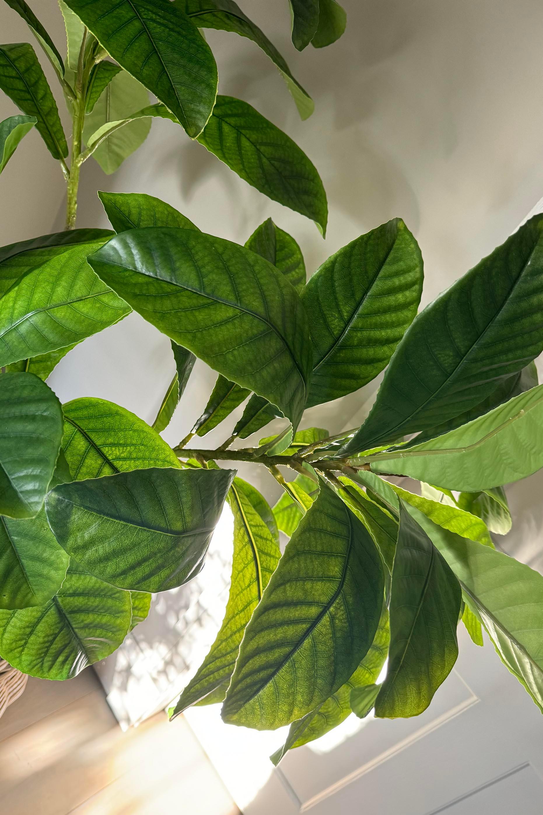 Artificial Elaeocarpus Tree RTfact Flowers 