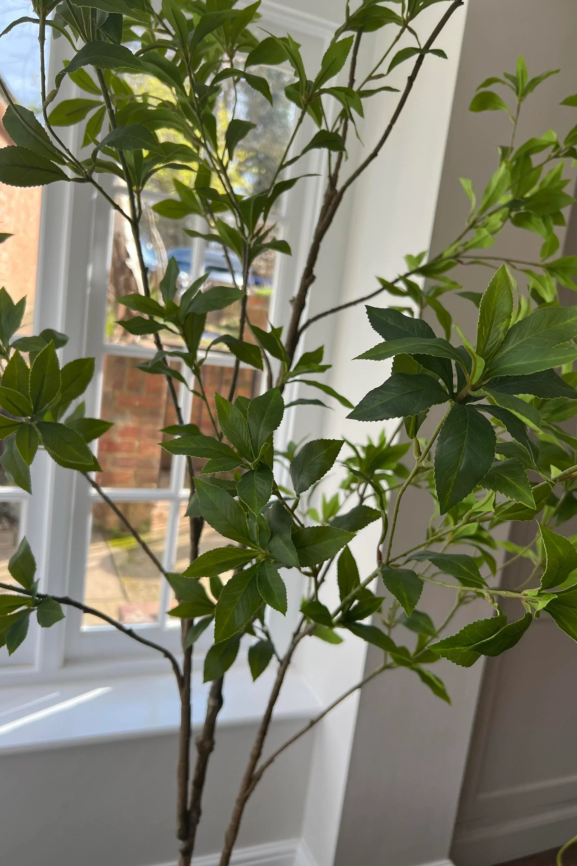 Artificial Bucida Tree RTfact Flowers 