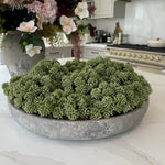 Angelica in a Stone Bowl RTfact Flowers 