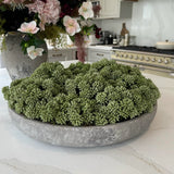 Angelica in a Stone Bowl RTfact Flowers 