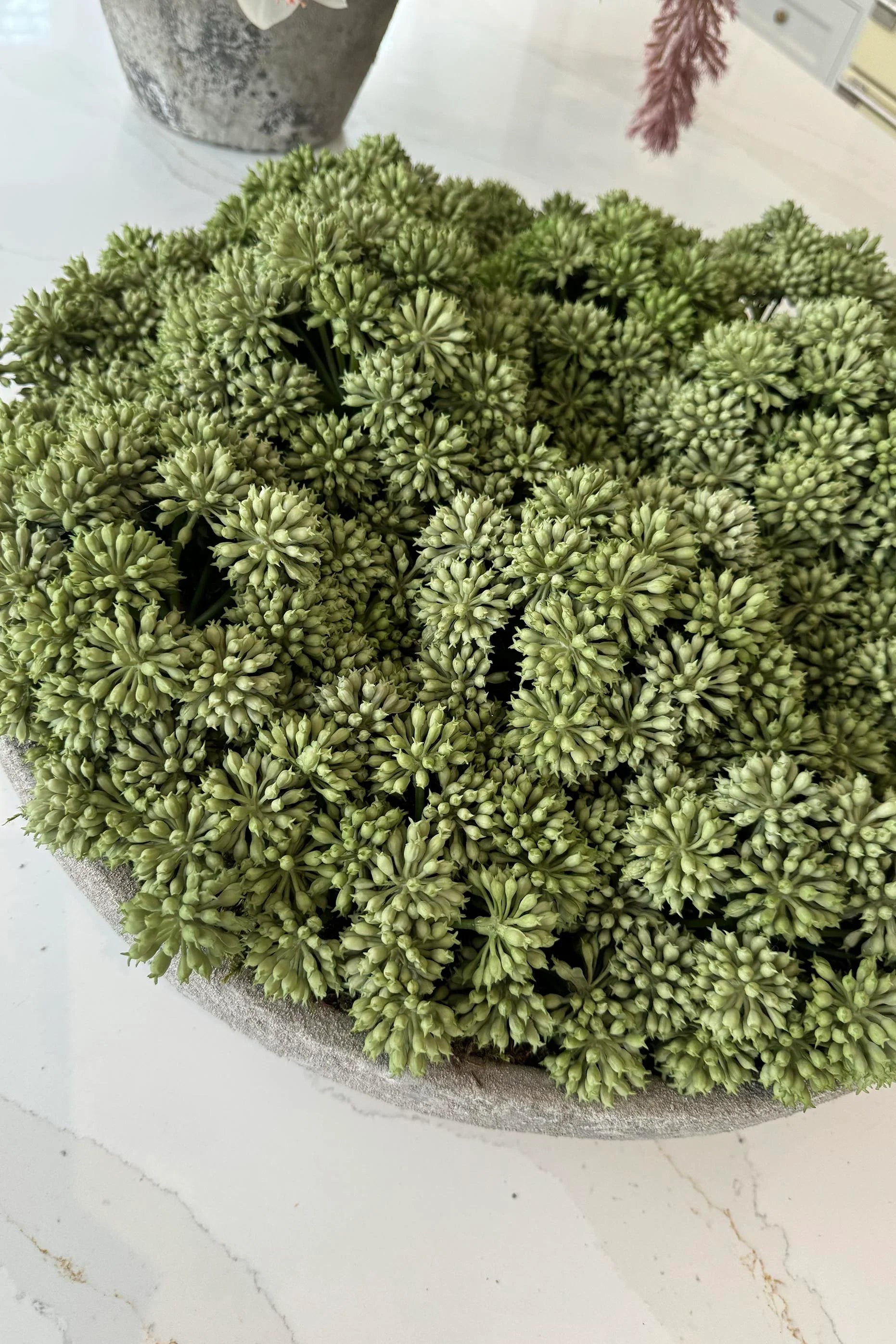 Angelica in a Stone Bowl RTfact Flowers 