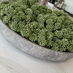 Angelica in a Stone Bowl RTfact Flowers 