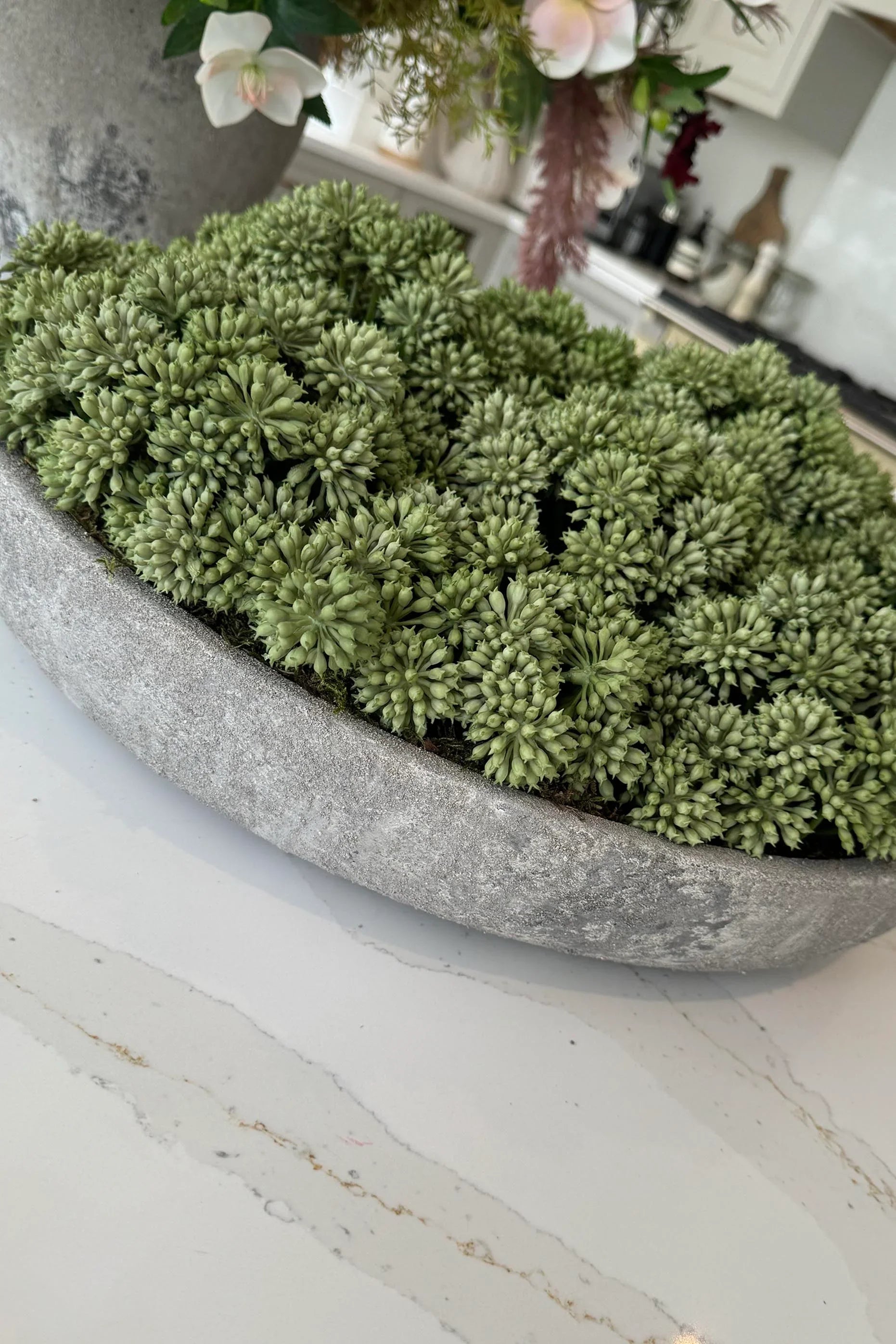 Angelica in a Stone Bowl RTfact Flowers 