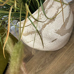 Cattails and Tillandsia Grass in a Crackle Glazed Pot RTfact Flowers 