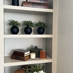 Mini plant in a Matt Black Vase (Green) RTfact Flowers 