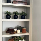 Mini plant in a Matt Black Vase (Green) RTfact Flowers 