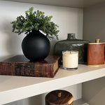 Mini plant in a Matt Black Vase (Green) RTfact Flowers 
