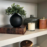 Mini plant in a Matt Black Vase (Green) RTfact Flowers 