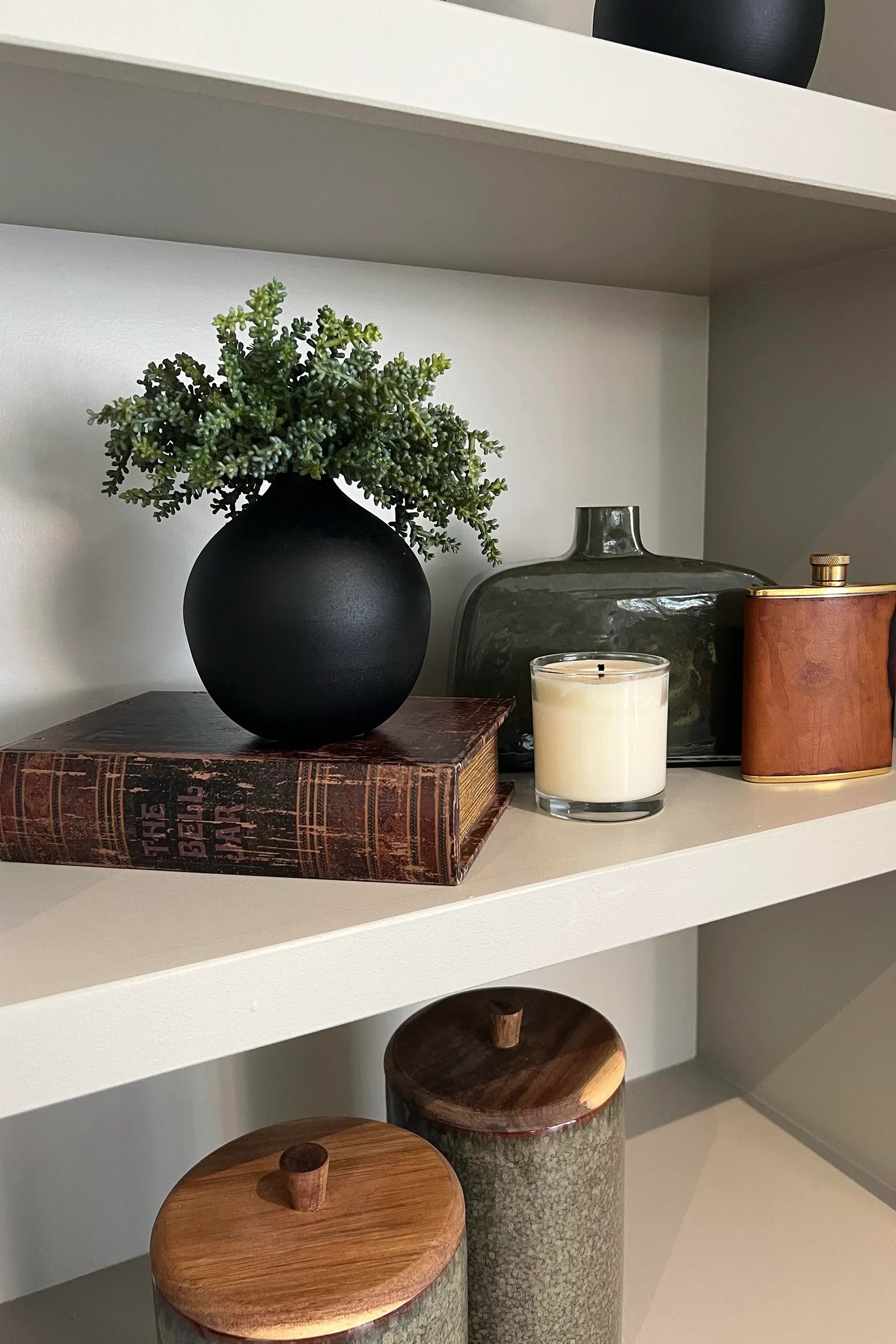 Mini plant in a Matt Black Vase (Green) RTfact Flowers 