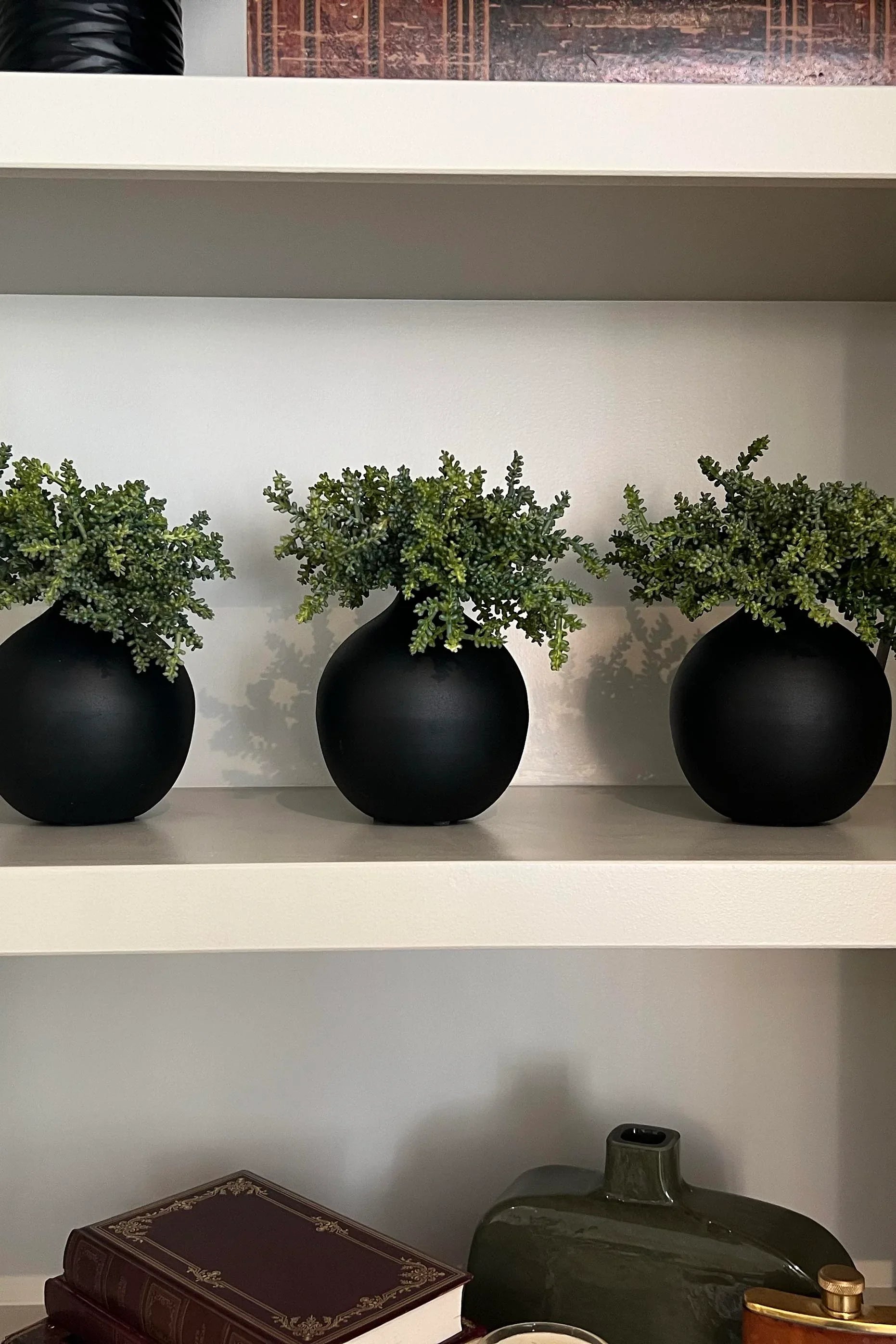 Mini plant in a Matt Black Vase (Green) RTfact Flowers 