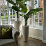 Artificial Banana Tree RTfact Flowers 