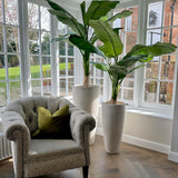 Artificial Banana Tree RTfact Flowers 