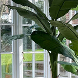 Artificial Banana Tree