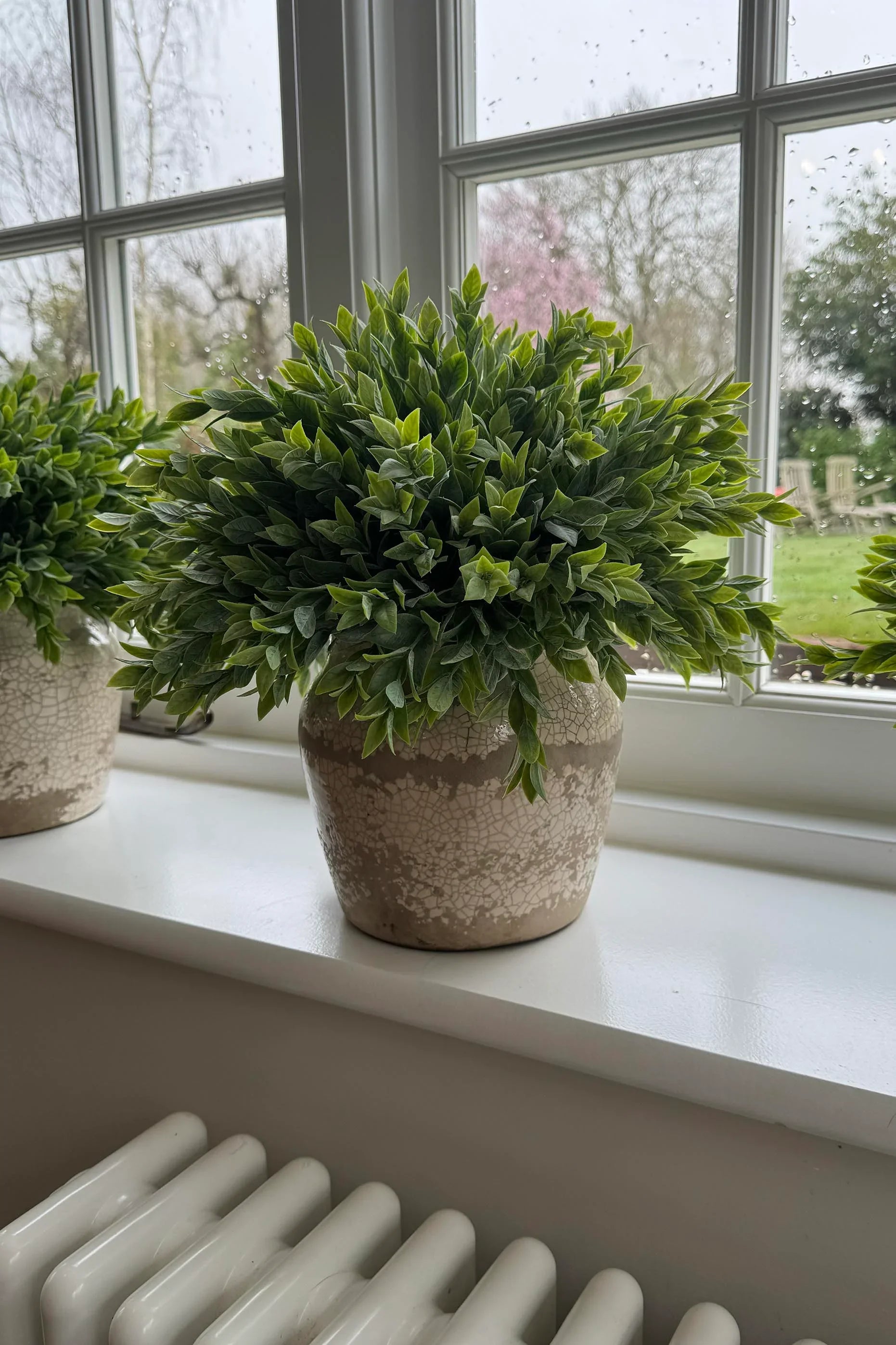 Ruscus in a Semi Glazed Stone Pot RTfact Flowers 