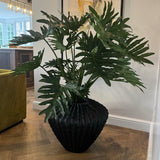 Philodendron in a Fluted Pot RTfact Flowers 