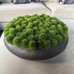 Dianthus in a Dimpled Bronze Metal Bowl RTfact Flowers 
