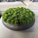 Dianthus in a Dimpled Bronze Metal Bowl RTfact Flowers 