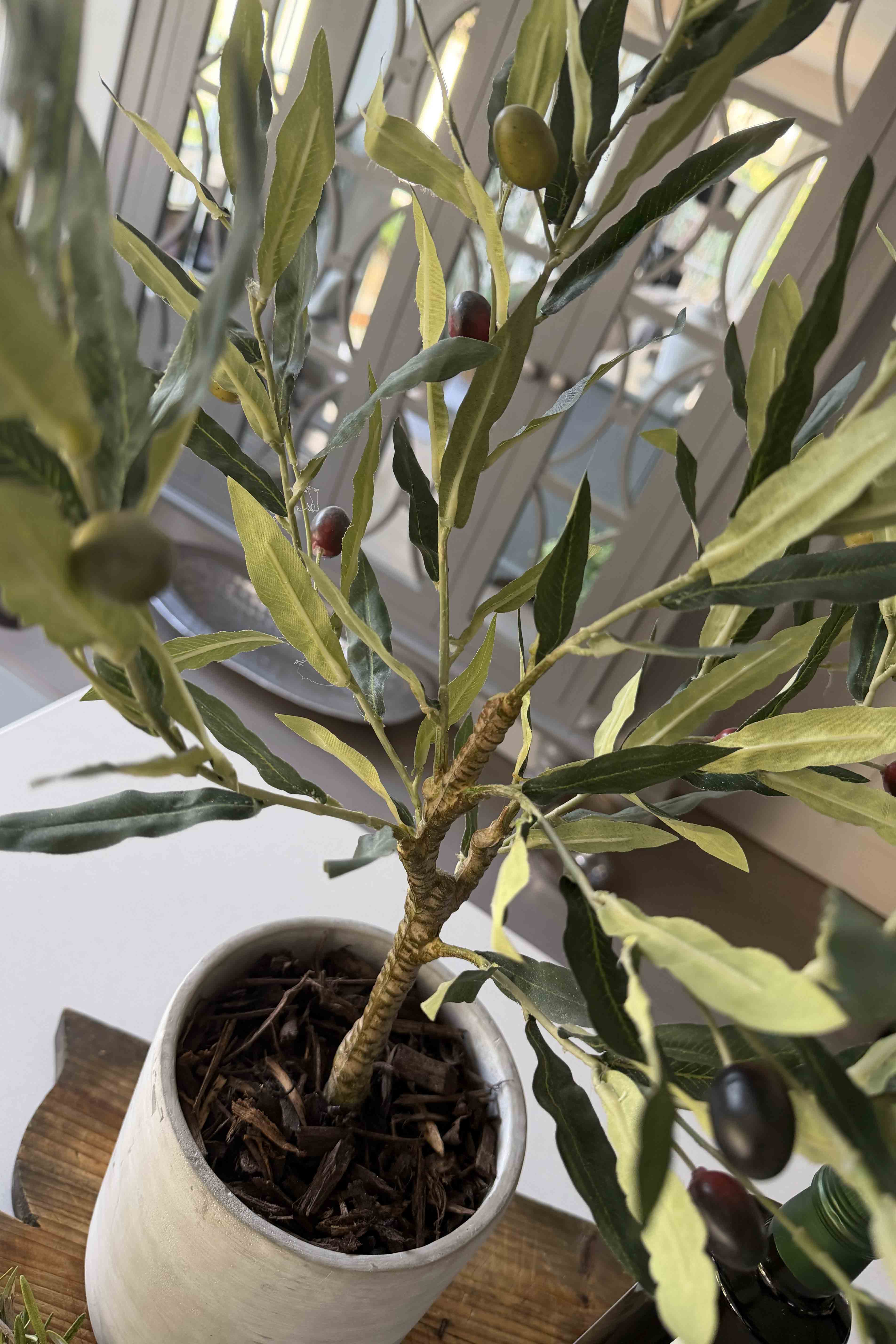 Olive Tree in a Grey Stone Pot RTfact Flowers 