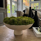 Curly Moss in a Pale Cream Stone Footed Bowl RTfact Flowers 