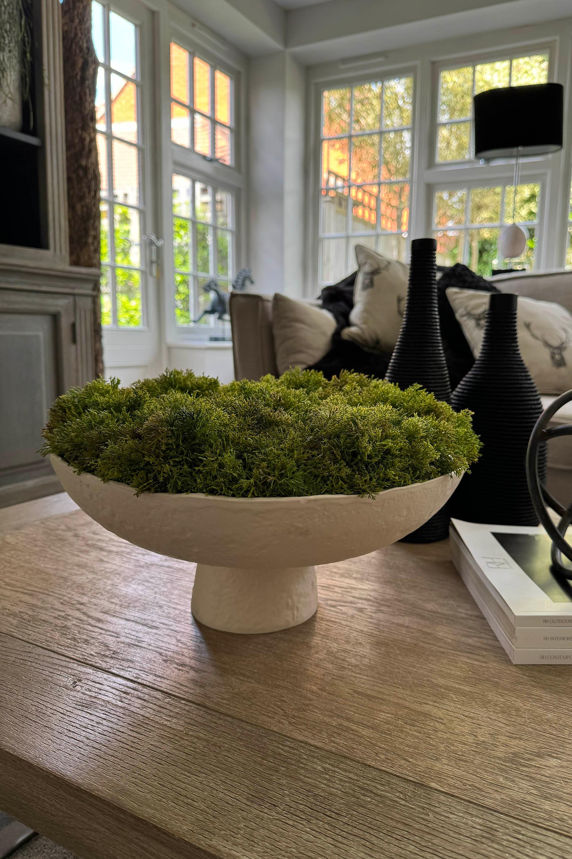 Curly Moss in a Pale Cream Stone Footed Bowl RTfact Flowers 