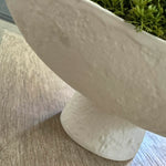 Curly Moss in a Pale Cream Stone Footed Bowl RTfact Flowers 