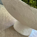Curly Moss in a Pale Cream Stone Footed Bowl RTfact Flowers 
