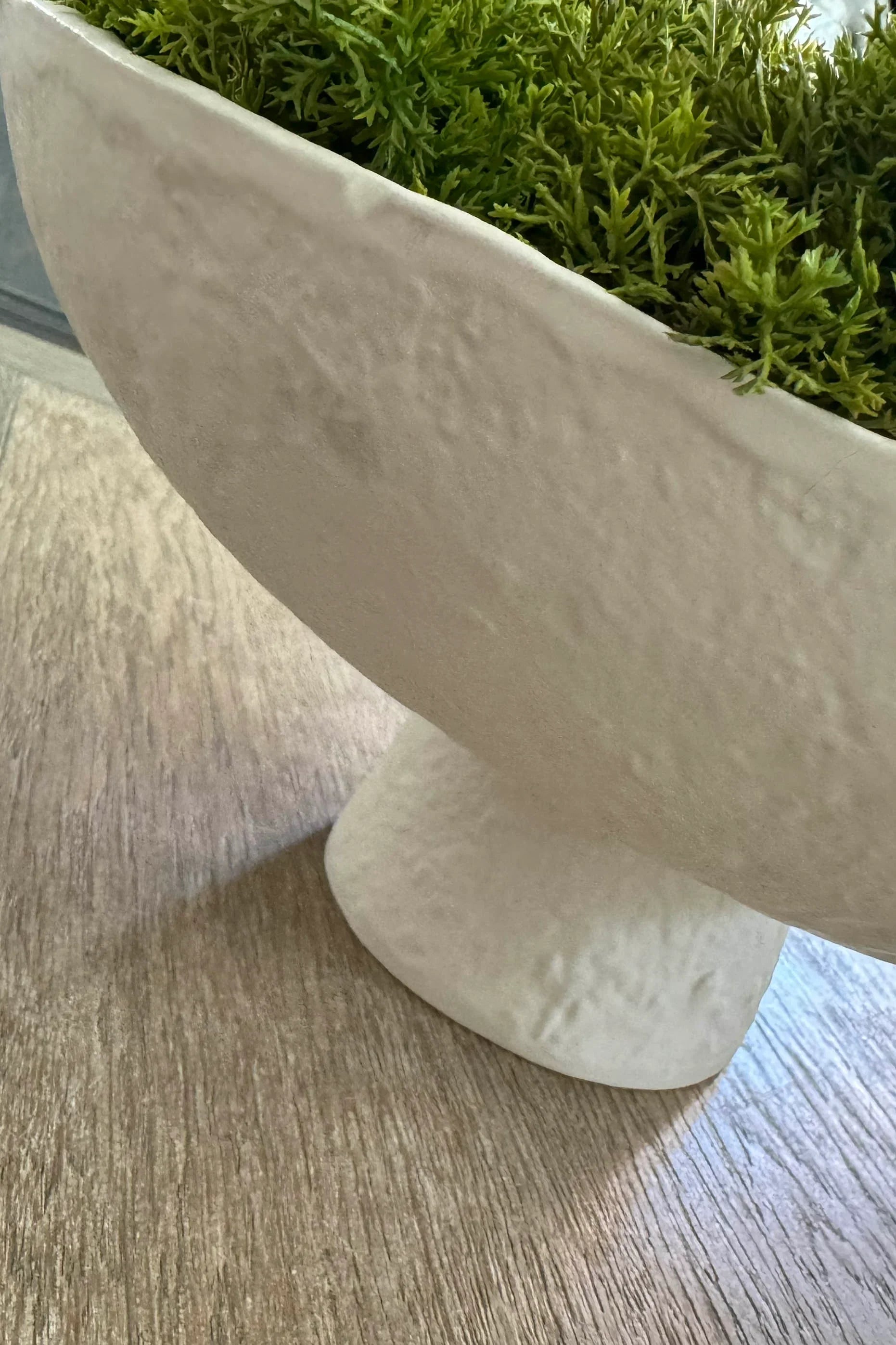 Curly Moss in a Pale Cream Stone Footed Bowl RTfact Flowers 