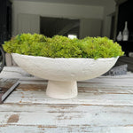 Curly Moss in a Pale Cream Stone Footed Bowl RTfact Flowers 