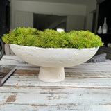Curly Moss in a Pale Cream Stone Footed Bowl RTfact Flowers 