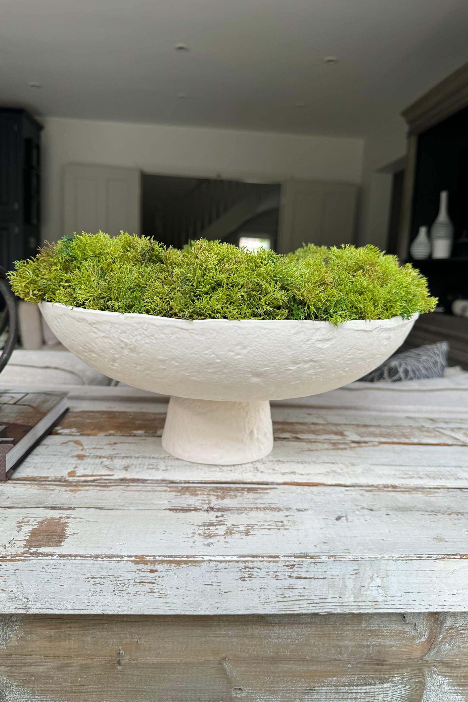 Curly Moss in a Pale Cream Stone Footed Bowl RTfact Flowers 