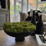Curly Moss in a Matt Black Stone Footed Bowl RTfact Flowers 