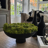 Curly Moss in a Matt Black Stone Footed Bowl RTfact Flowers 