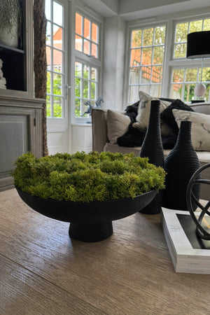 Curly Moss in a Matt Black Stone Footed Bowl