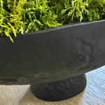 Curly Moss in a Matt Black Stone Footed Bowl RTfact Flowers 