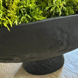 Curly Moss in a Matt Black Stone Footed Bowl RTfact Flowers 