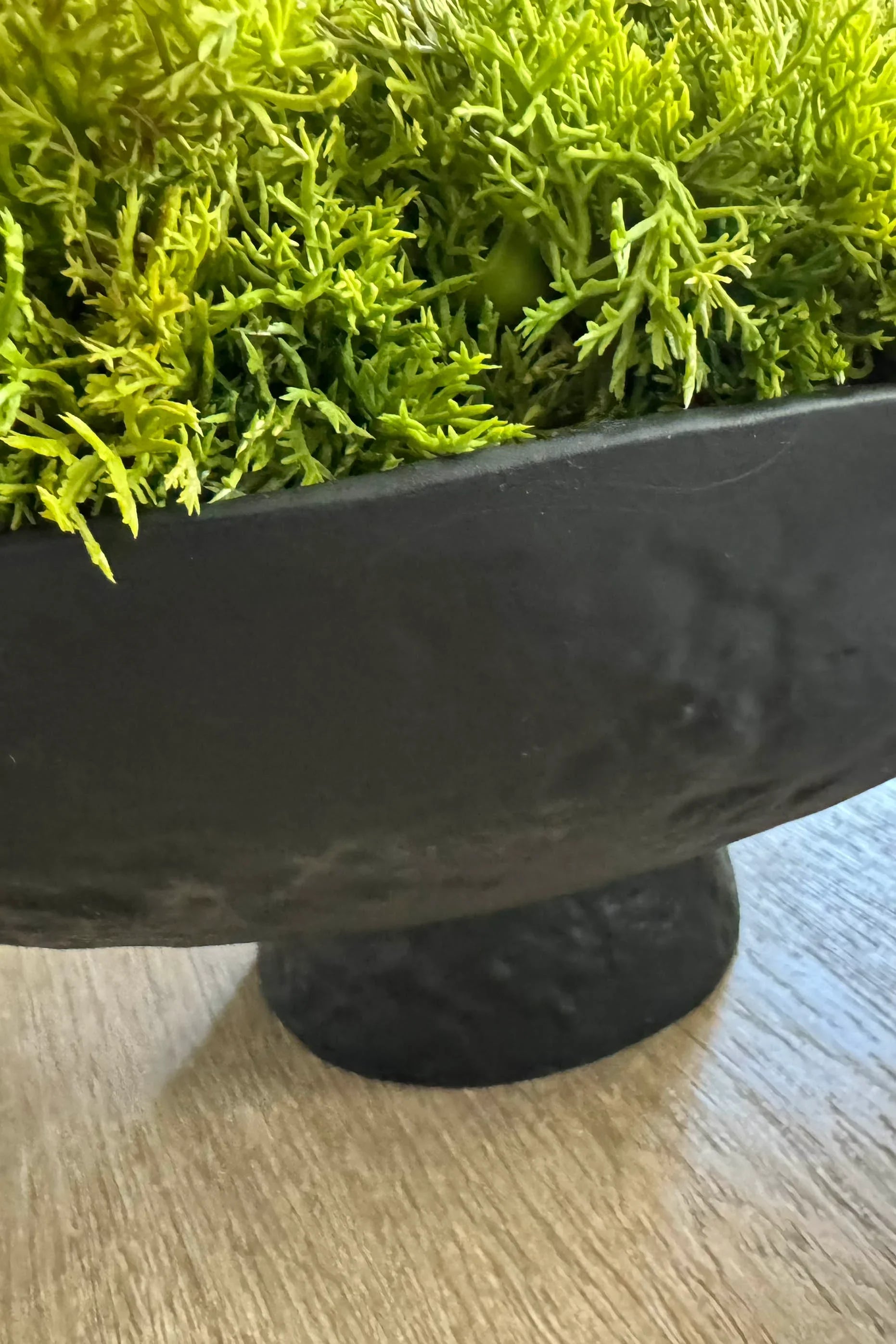 Curly Moss in a Matt Black Stone Footed Bowl RTfact Flowers 