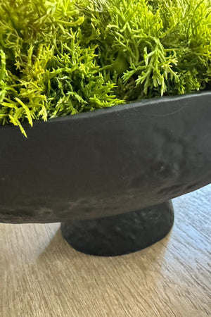 Curly Moss in a Matt Black Stone Footed Bowl