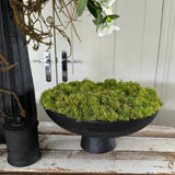 Curly Moss in a Matt Black Stone Footed Bowl RTfact Flowers 