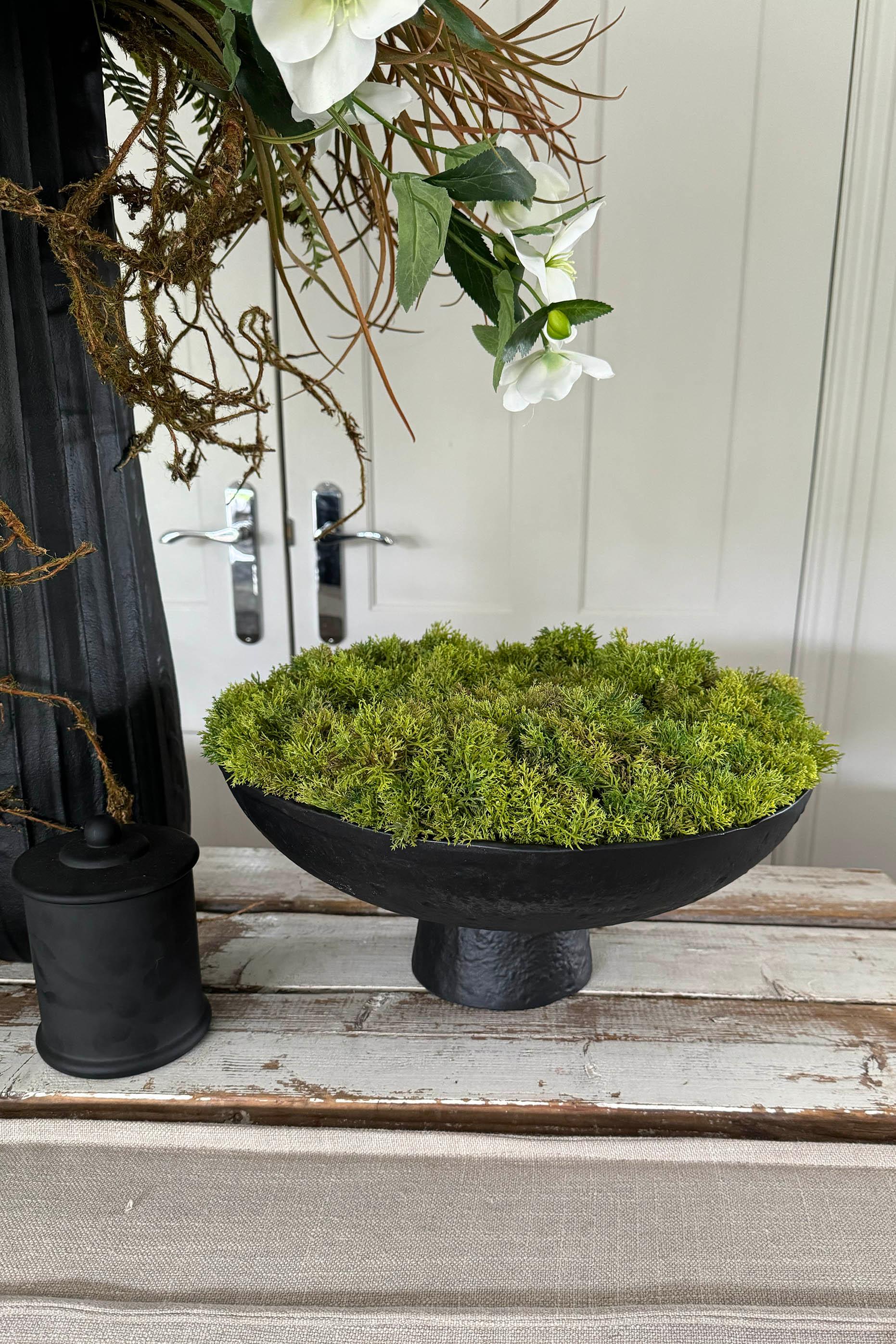 Curly Moss in a Matt Black Stone Footed Bowl RTfact Flowers 