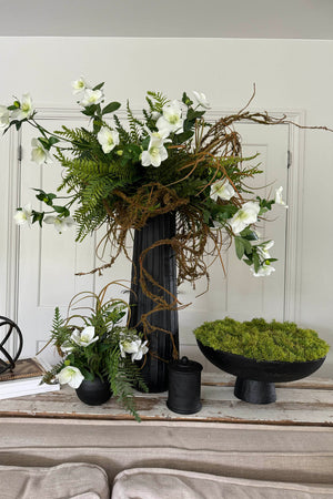 Curly Moss in a Matt Black Stone Footed Bowl