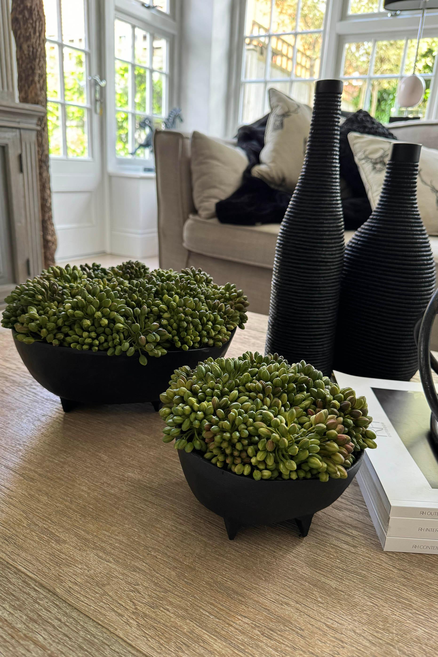 Green Berry in a Black Footed Bowl RTfact Flowers 