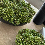 Green Berry in a Black Footed Bowl RTfact Flowers 