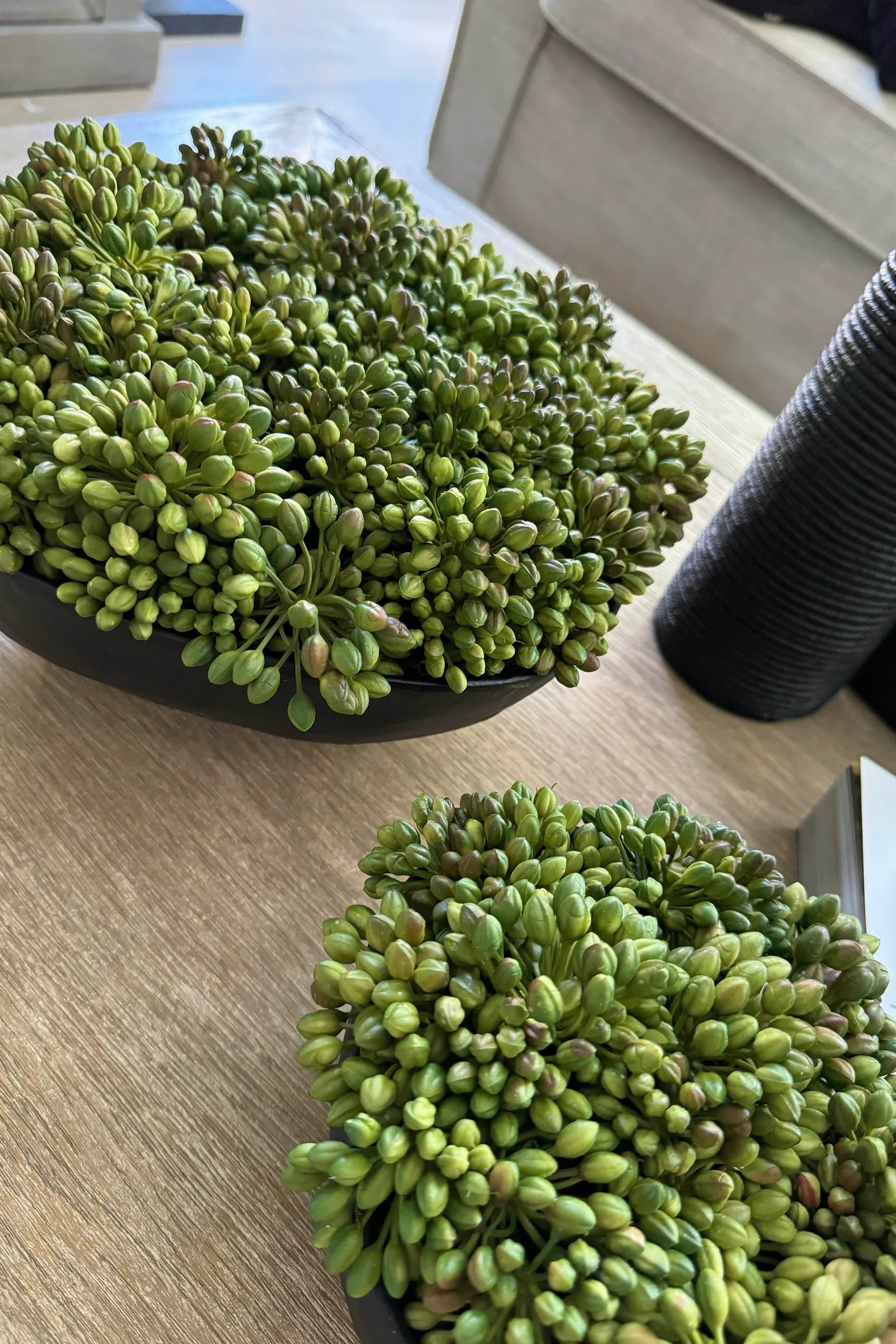 Green Berry in a Black Footed Bowl RTfact Flowers 
