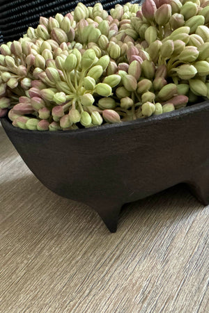 Pink/ Green Berry in a Brown Footed Bowl