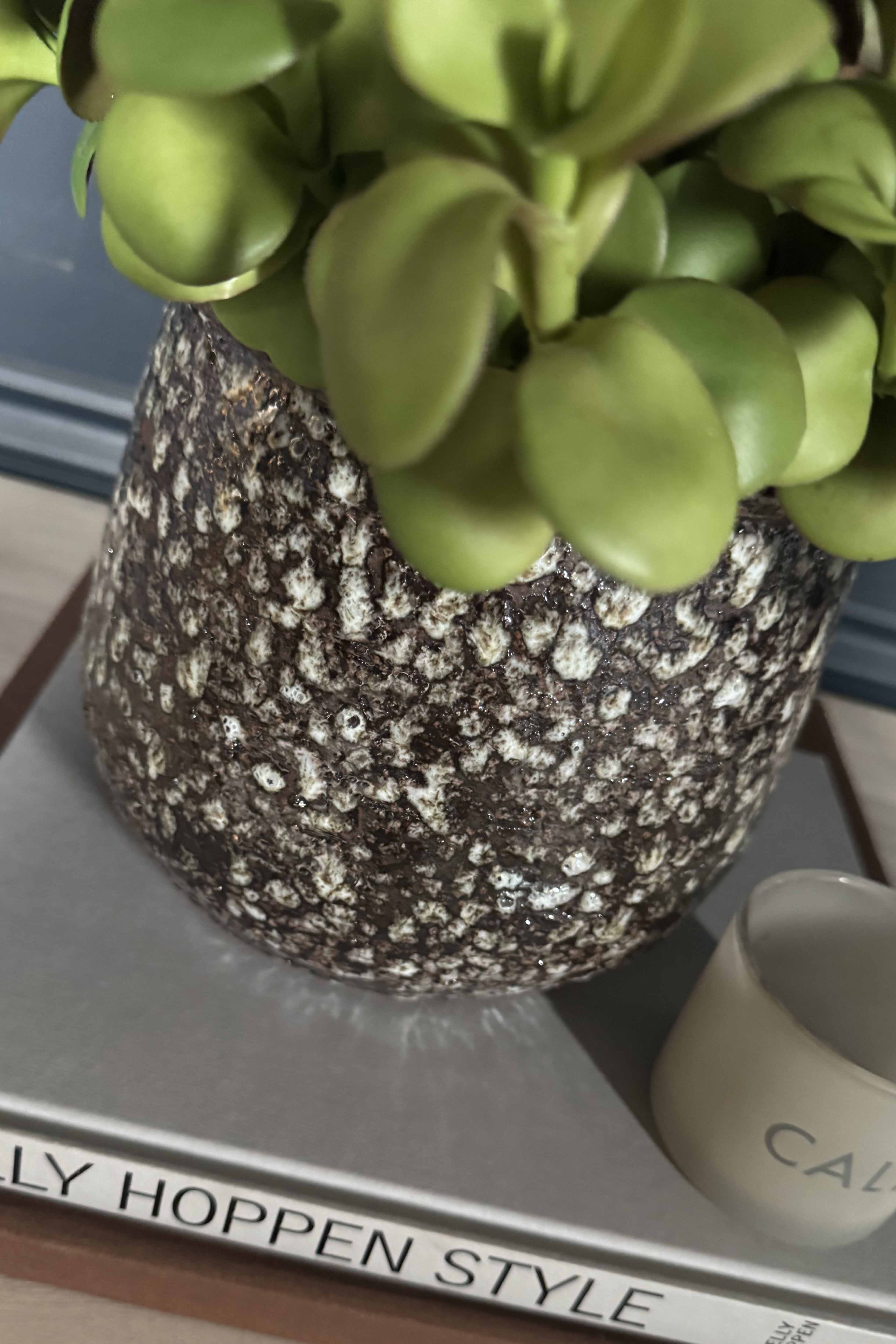 Crassula Spray in a Glazed Mottled Vase RTfact Flowers 